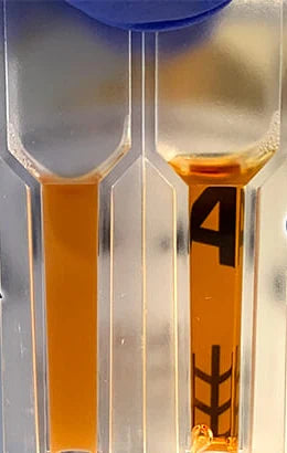 Two cuvettes side by side. Quas on the left is cloudy; filtered kvass on the right is clear enough to read a printed number behind it.
