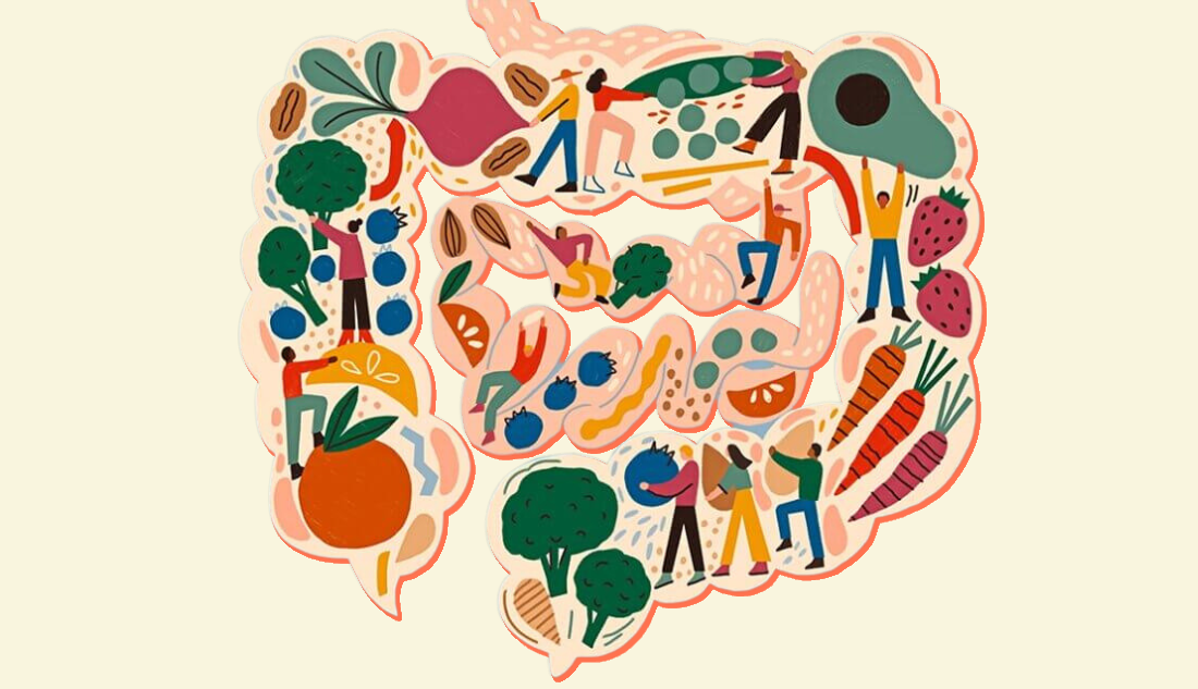 Gut Health and Sleep: How Fermented Foods Transform Your Nights