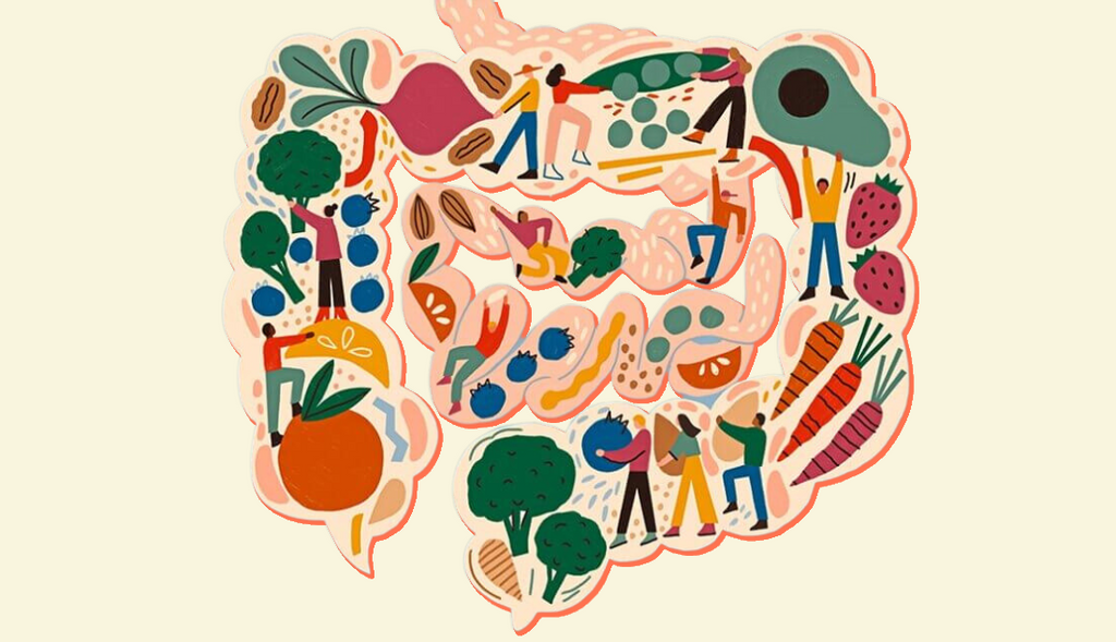 Gut Health and Sleep: How Fermented Foods Transform Your Nights