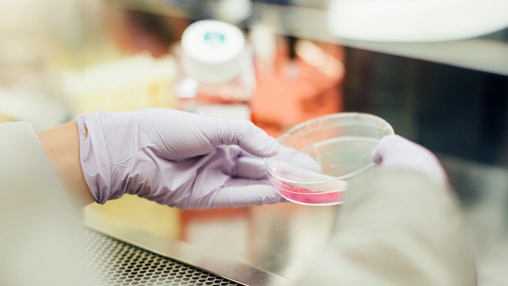 clinical study on fermented foods